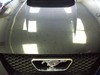 Bumper to Bumper Detail -BEFORE-